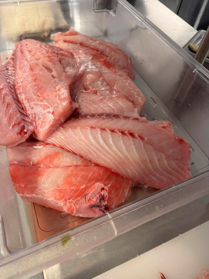 Fresh Gulf fish fillets, the day's catch